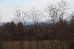 objects/1200/29603_1701.jpg