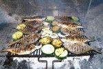 objects/2063/94355_ryba-dorada-grilowana.jpg
