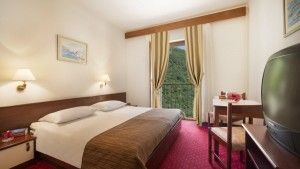 Standard twin room - parkview