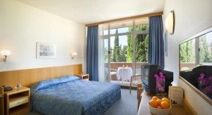 Standard Doppelzimmer - Parkblick