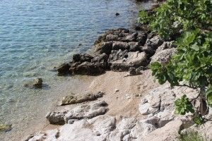 objects/2943/129098_IMG_9865.jpg