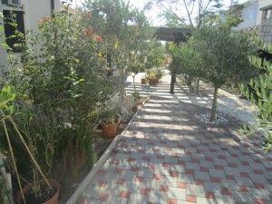 objects/333/115891_IMG_9985.JPG