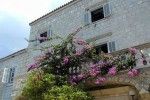 objects/545/25824_tucepi-bluesun-hotel-kastelet_640_426.jpeg