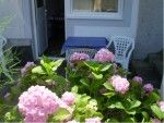 Ferienwohnung f�r 2-3 Personen
